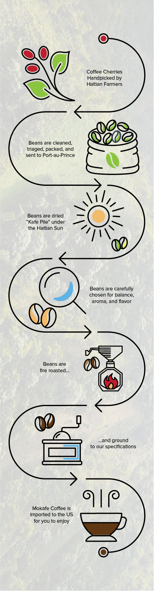 Our process infographic