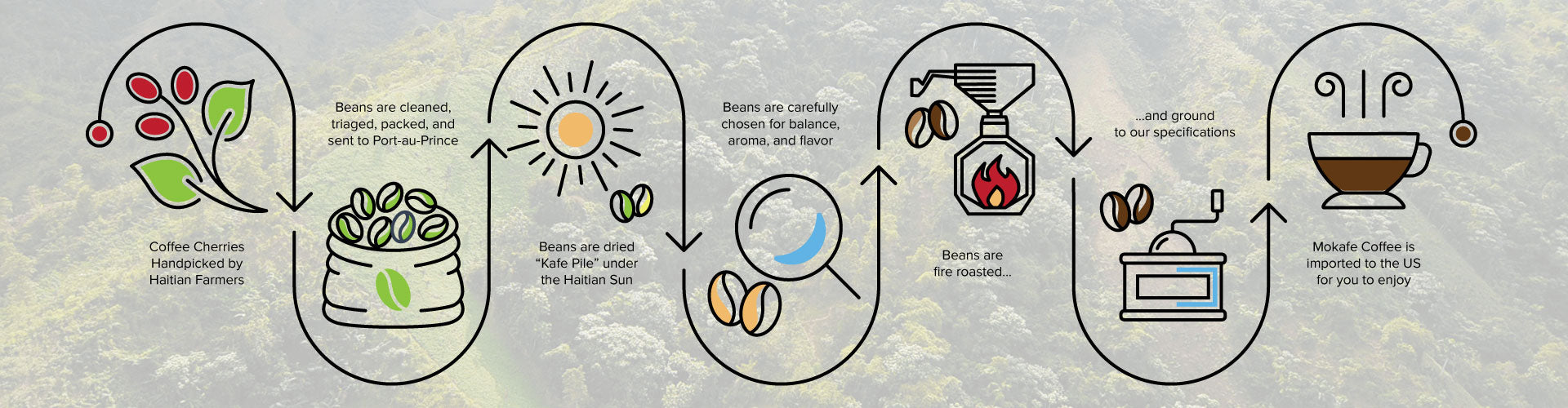 Our process infographic